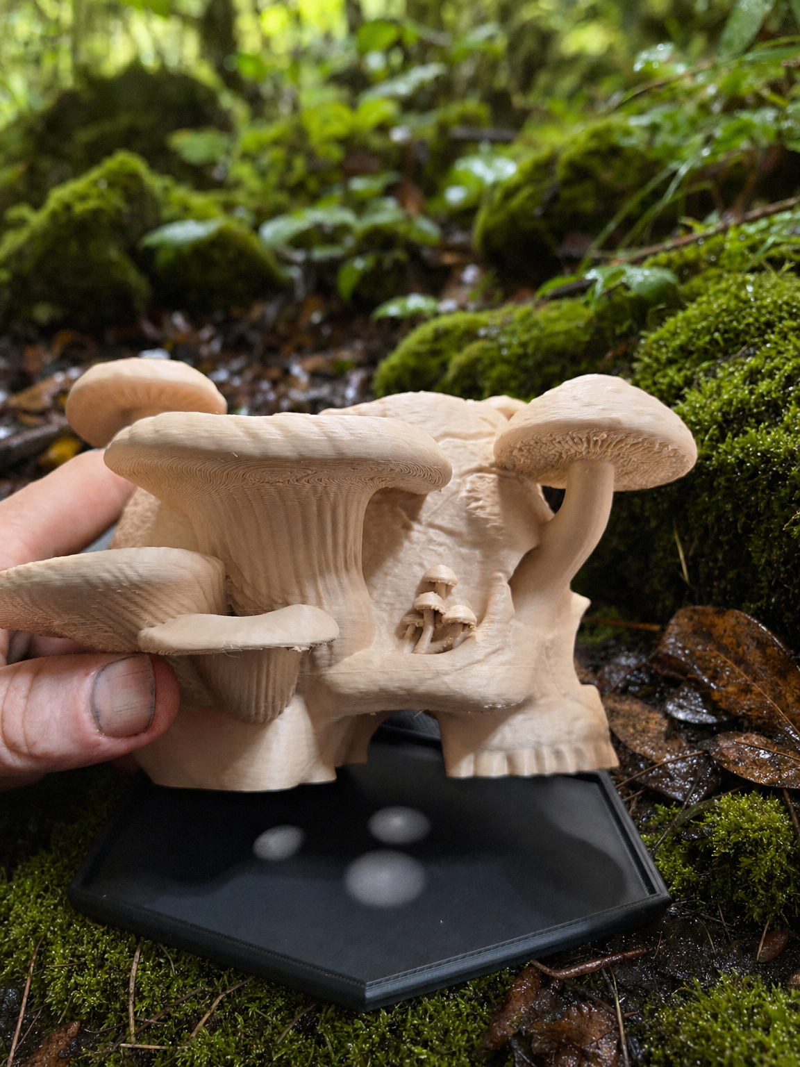 🪴Skull & Mushroom Planter with Drip Tray