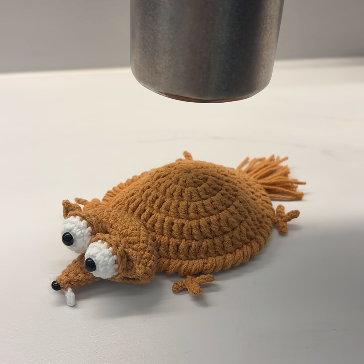 🔥 FLASH CLEARANCE: 50% OFF THE LITTLE NUT COASTER SET! 🔥