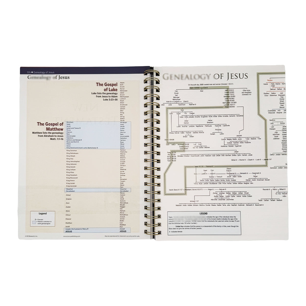 💥Today 49% OFF💥-ROSE BOOK OF BIBLE CHARTS, MAPS, AND TIME LINES