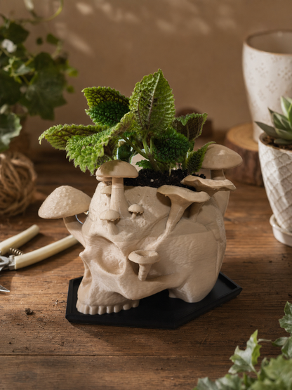 🪴Skull & Mushroom Planter with Drip Tray