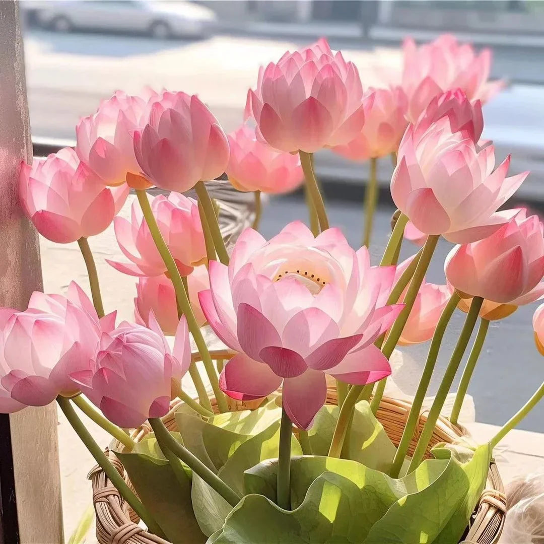 🌸Last Day 50% OFF💐The Sacred Bonsai Bowl Lotus Flower