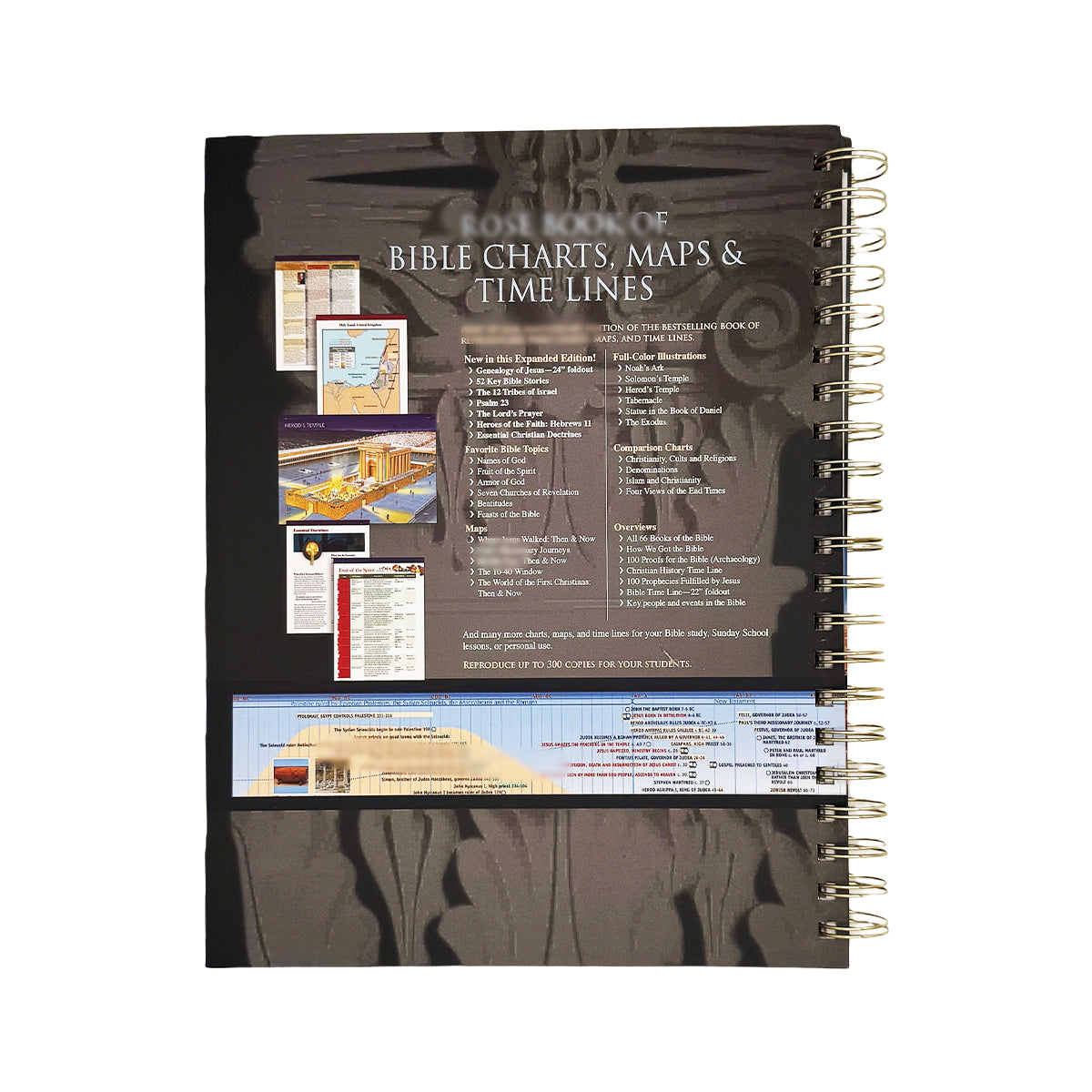 💥Today 49% OFF💥-ROSE BOOK OF BIBLE CHARTS, MAPS, AND TIME LINES