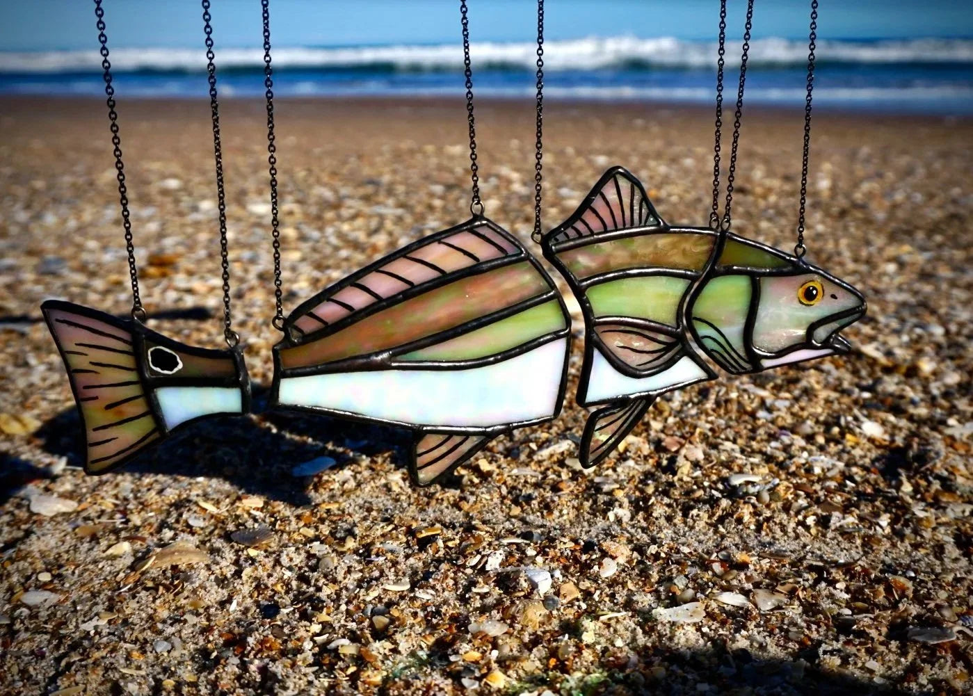 🐟 Red Drum Swimming Illusion