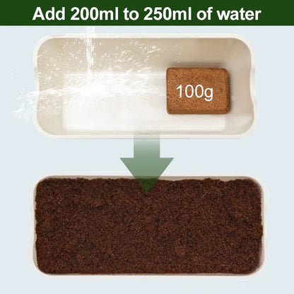 🌱2025 New Arrival - Organic Coconut Fiber Soil for Plants