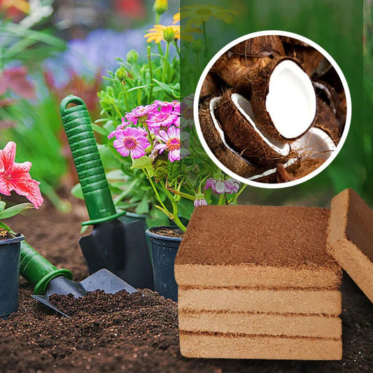 🌱2025 New Arrival - Organic Coconut Fiber Soil for Plants