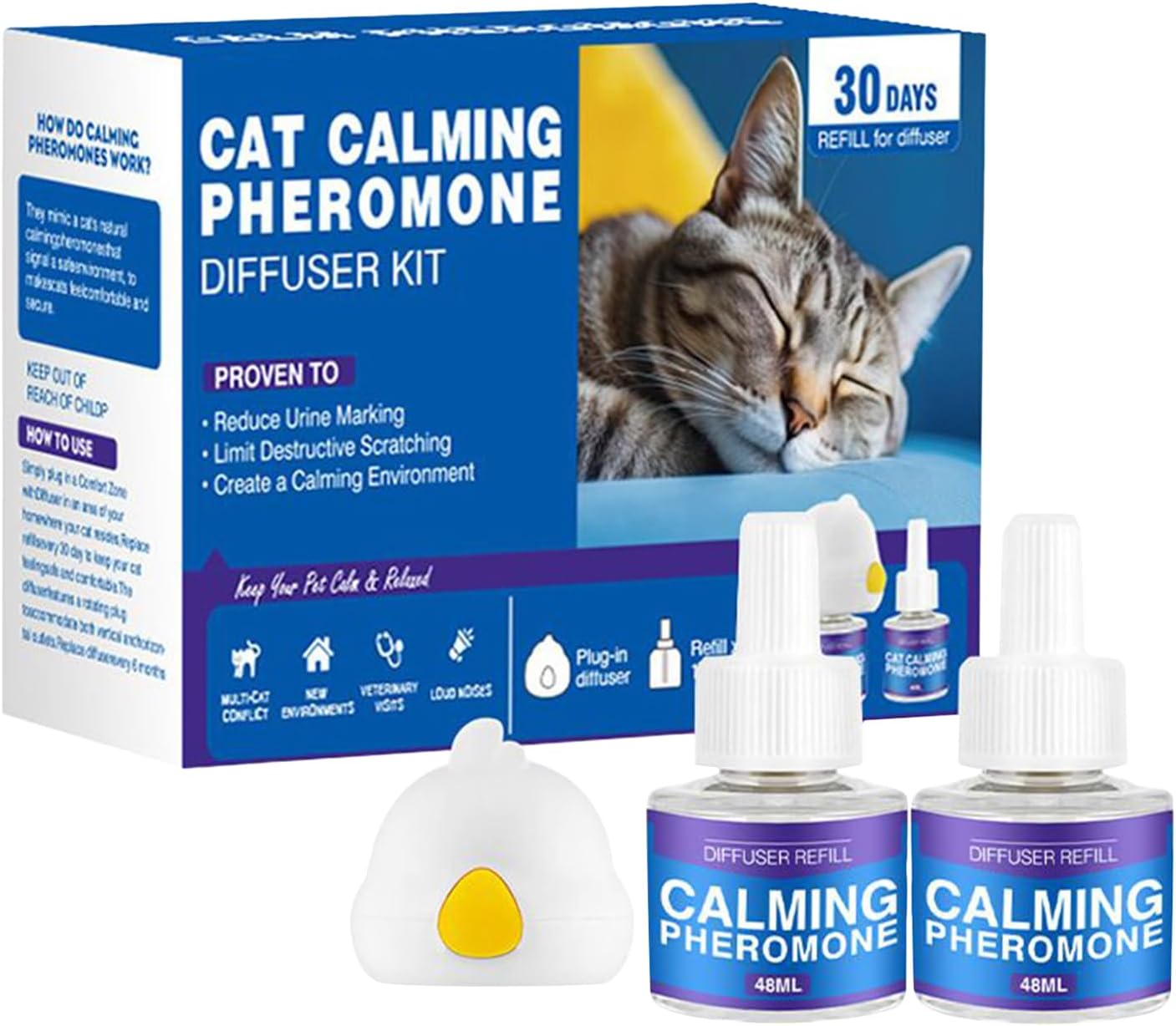 Cat Design（US）