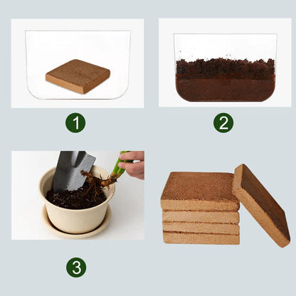 🌱2025 New Arrival - Organic Coconut Fiber Soil for Plants