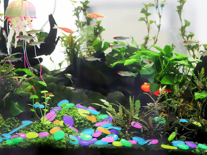 🌈Luminous Stones – Mixed Color Glow