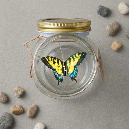 🦋 FLASH SALE: THE PIXIE JAR — JUST $35.99! 🦋
