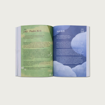 A Beautiful Year with Jesus: The 365 Day Bible Devotional
