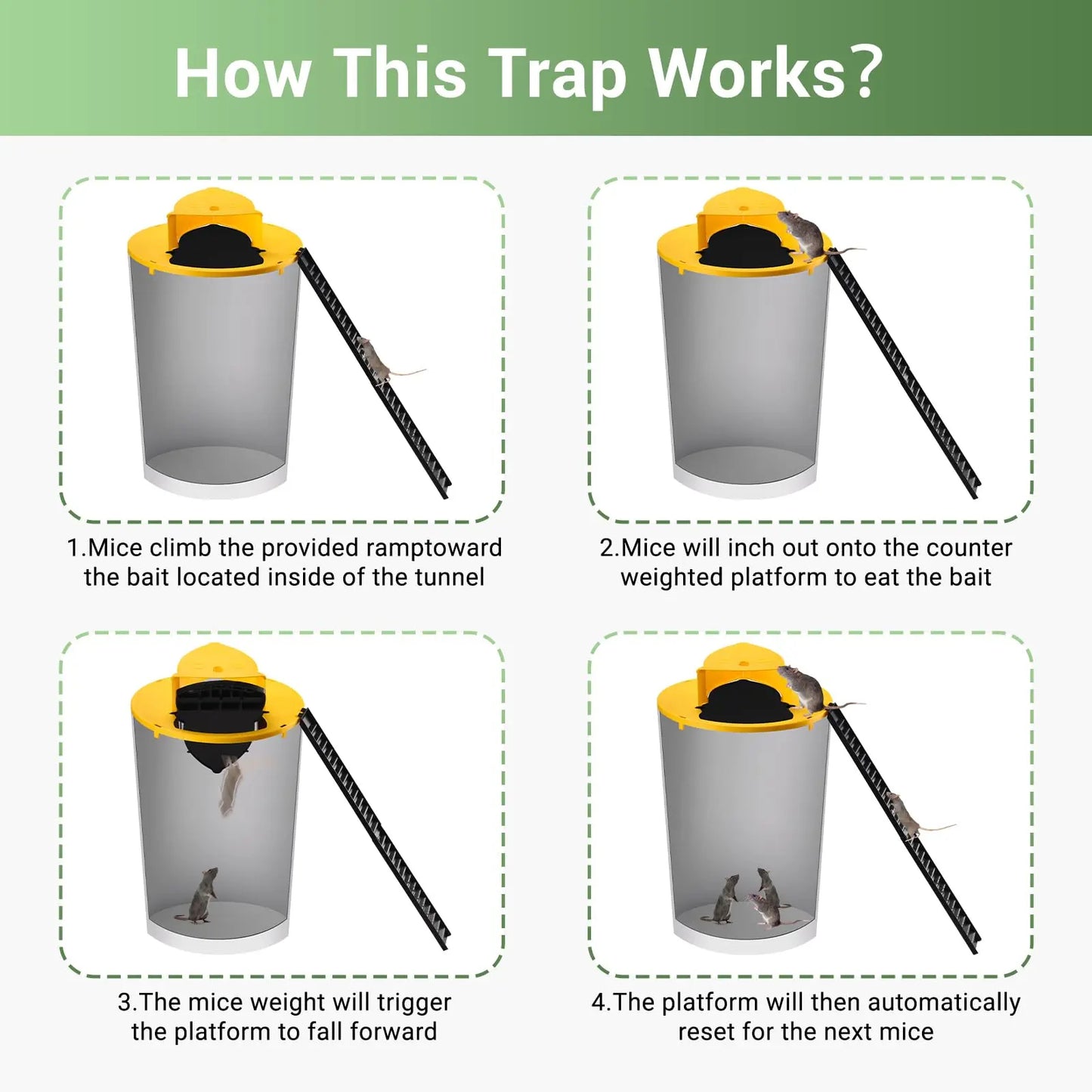 🎉 Holiday Special: Auto-Reset Multi-Catch Rodent Trap – Only $19.99