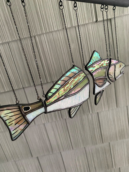 🐟 Red Drum Swimming Illusion