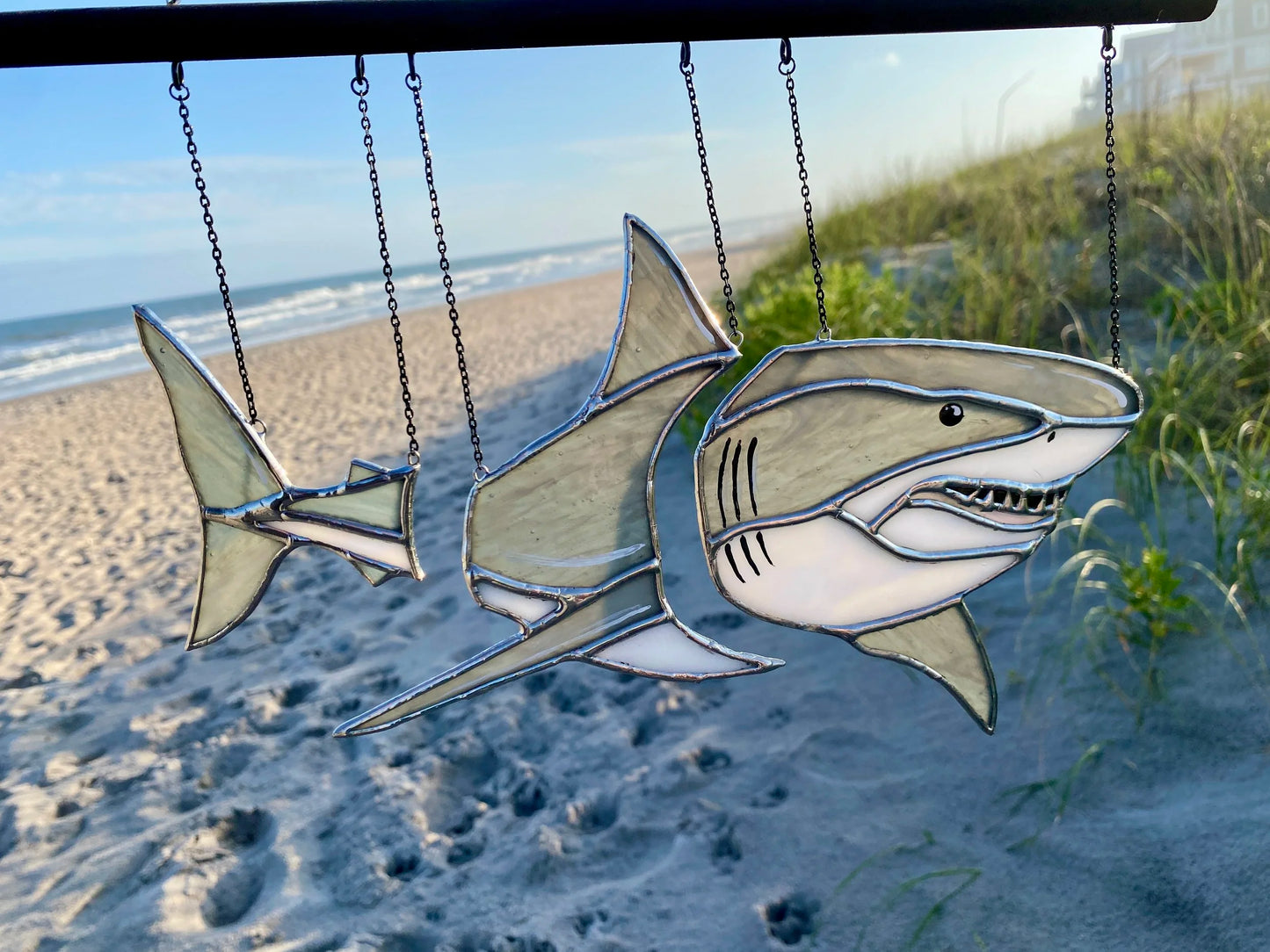 🐟 Red Drum Swimming Illusion