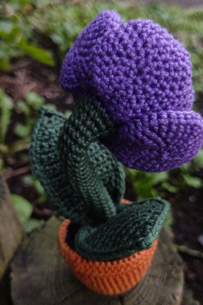🔥Halloween Eye Flower, Amigurumi creepy plant decoration👀