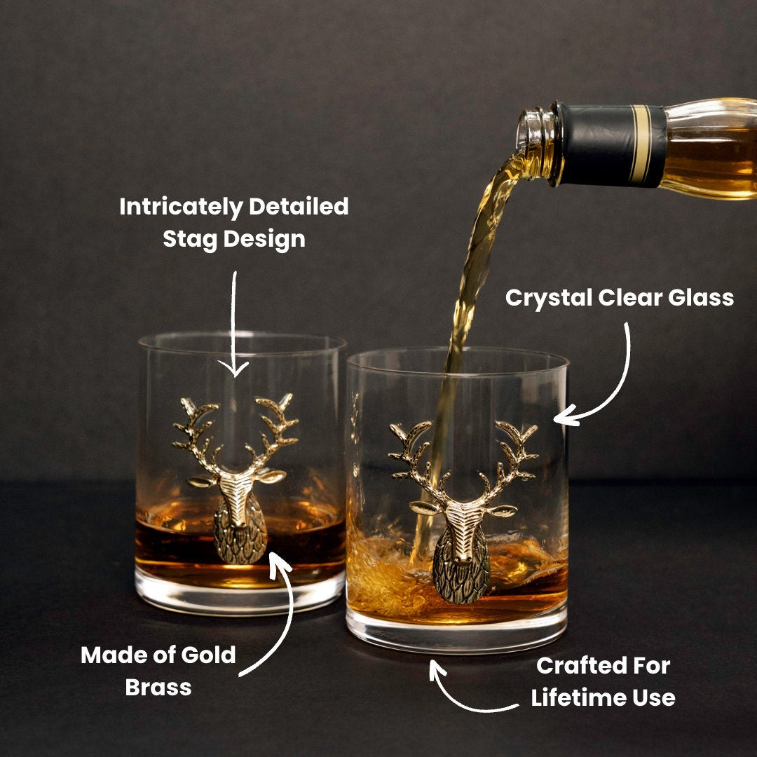 🔥Old Fashioned Whiskey Glasses for Dad