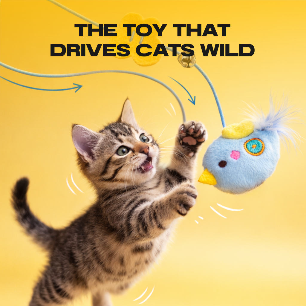 💥Today 49% OFF💥THE AUTOMATIC YO-YO TOY THAT DRIVES CATS WILD