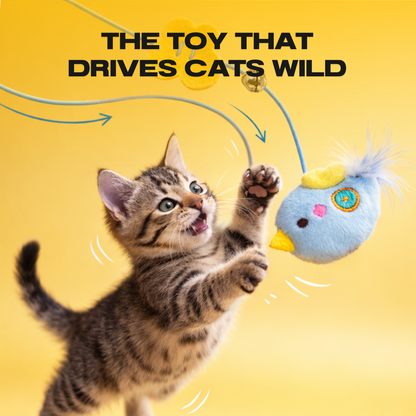 💥Today 49% OFF💥THE AUTOMATIC YO-YO TOY THAT DRIVES CATS WILD