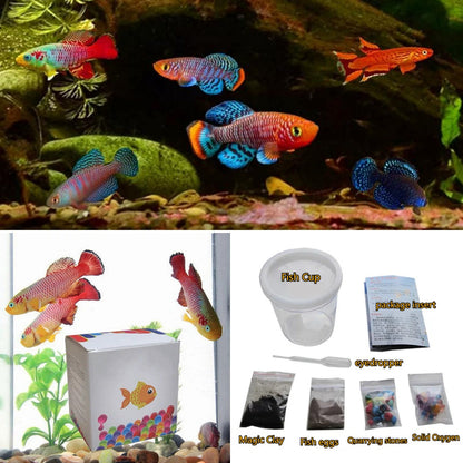 🐟 2026 Magical magic fish eggs