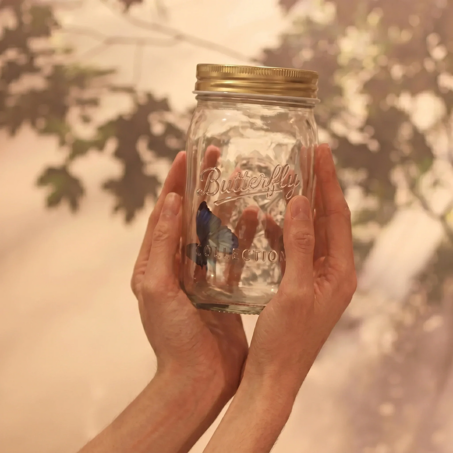 🦋 FLASH SALE: THE PIXIE JAR — JUST $35.99! 🦋