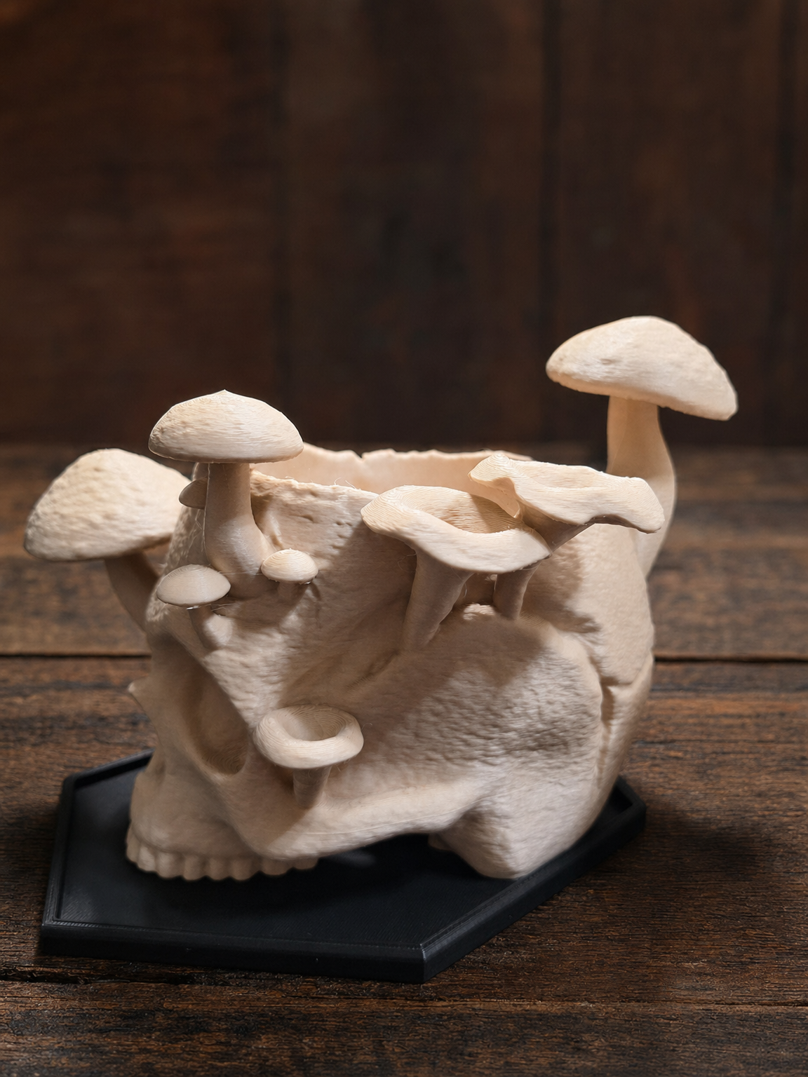 🪴Skull & Mushroom Planter with Drip Tray