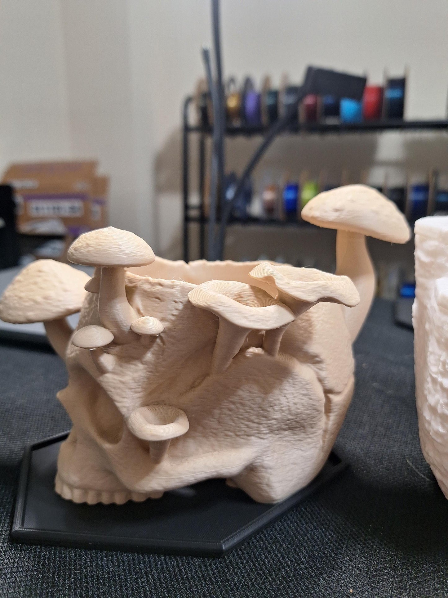 🪴Skull & Mushroom Planter with Drip Tray
