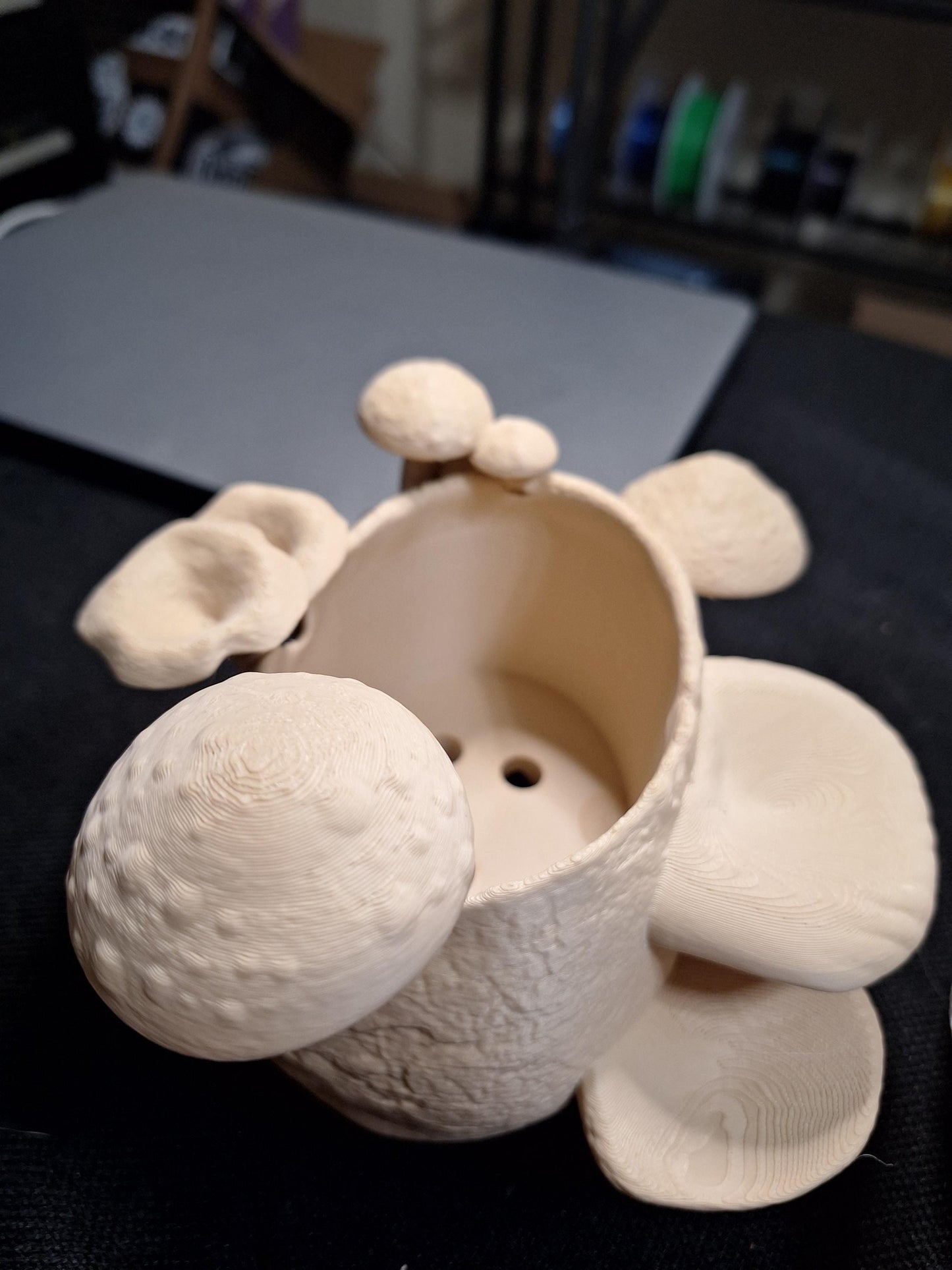 🪴Skull & Mushroom Planter with Drip Tray