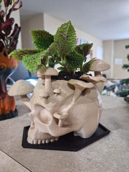 🪴Skull & Mushroom Planter with Drip Tray