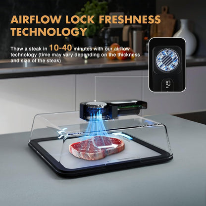 🔥50% OFF Today! M2 Rapid Defrost Tray – Thaw Frozen Meat in Minutes, Not Hours