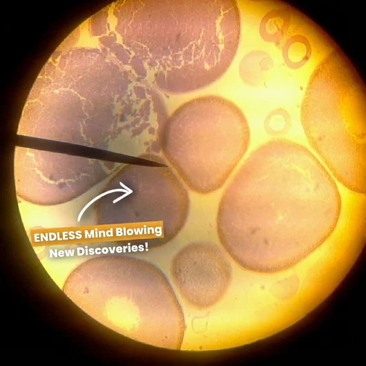 🧪Summer STEM Sale! Valorsapp™ 4K Discovery Microscope – Explore the Invisible in Stunning 4K!