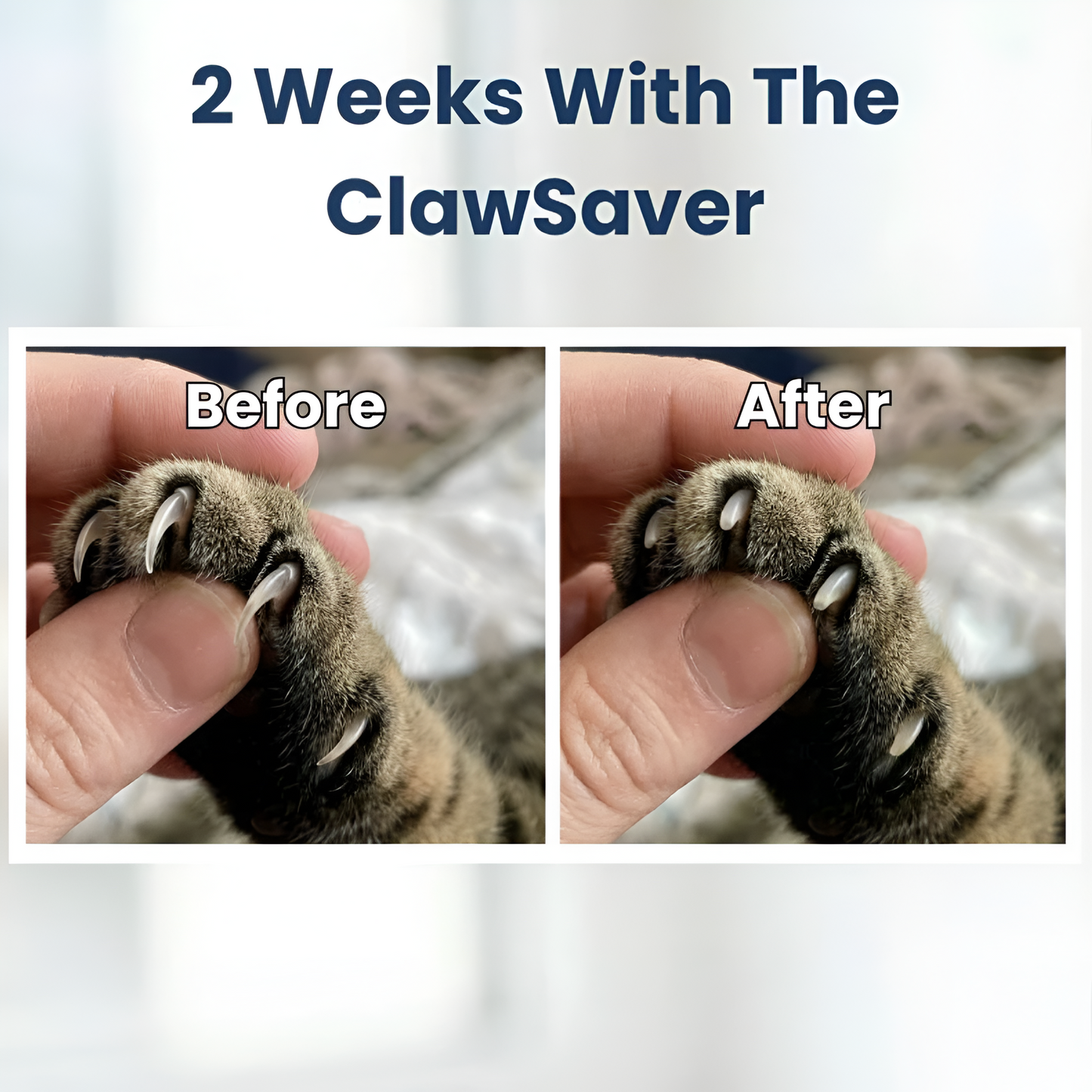 ScratchSaver