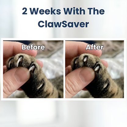 ScratchSaver